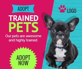 Pet Care Ad Banner Design